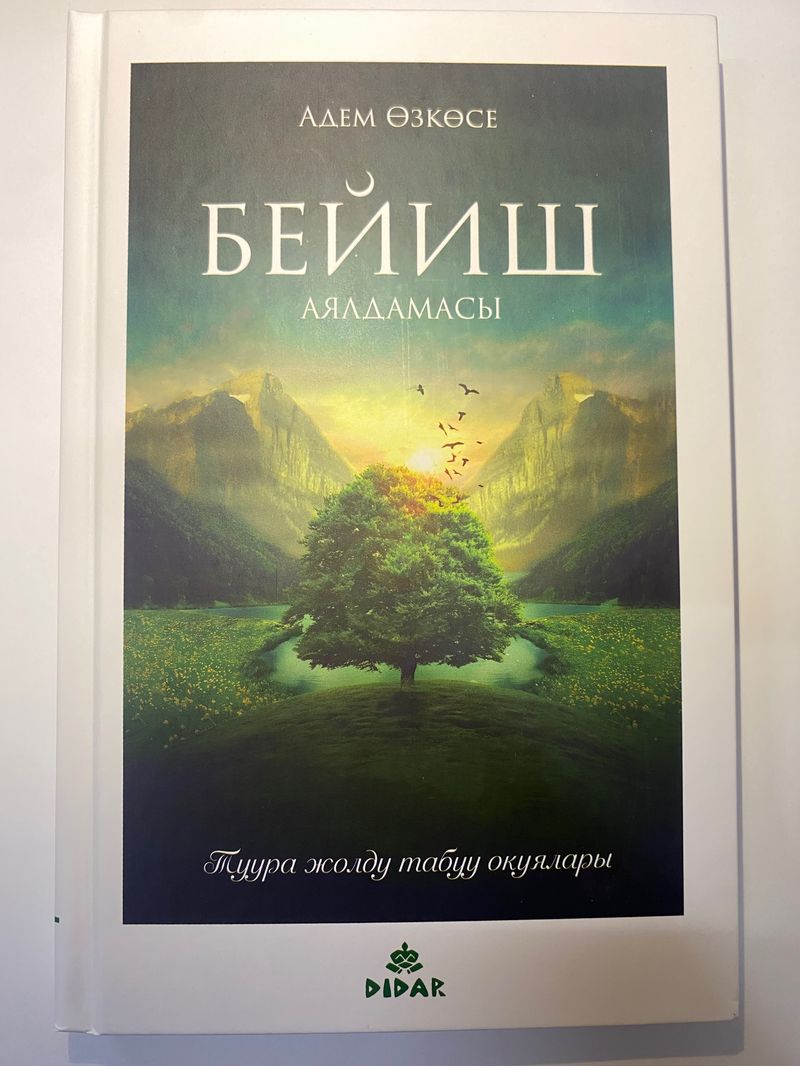Бейиш аялдамасы.(Адем Өскөсе)