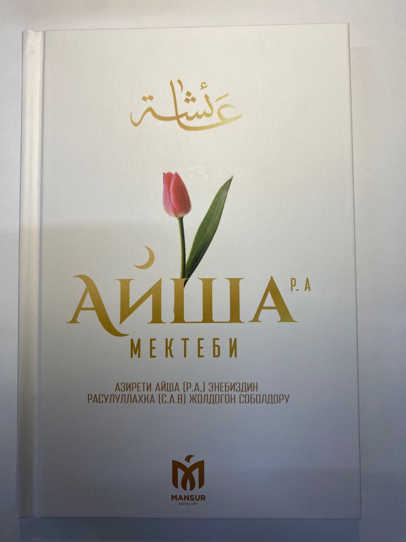 Айша мектеби  (Мансур басма үйү)